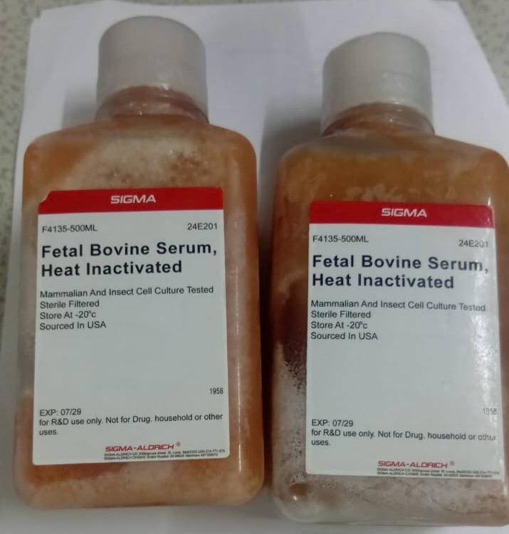 Fetal Bovine Serum Heat Inactivated Sigma-Aldrich