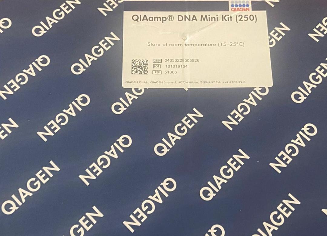 QIAamp DNA Mini Kit 250 QIAGEN