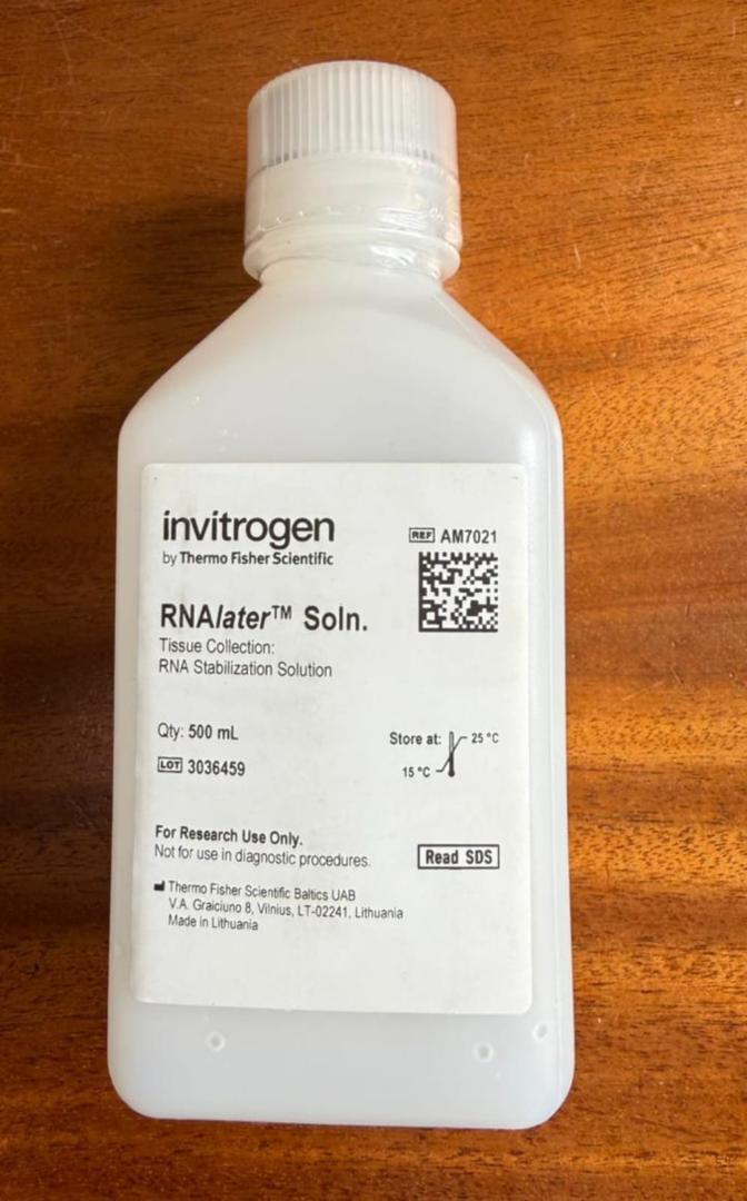 RNAlater Solution Invitrogen Thermo Fisher